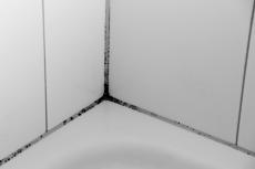 Légères traces de moisissure sur les joints entre les carreaux de céramique 